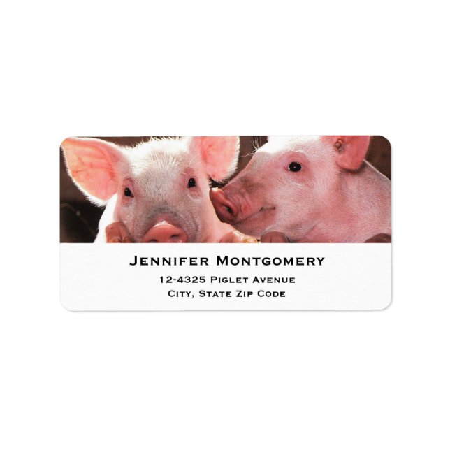 Cute Pink Piglets Animal Photograph Label (Front)