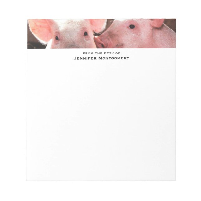 Cute Pink Piglets Animal Photograph Notepad (Front)
