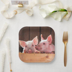 Cute Pink Piglets Animal Photograph Paper Plate