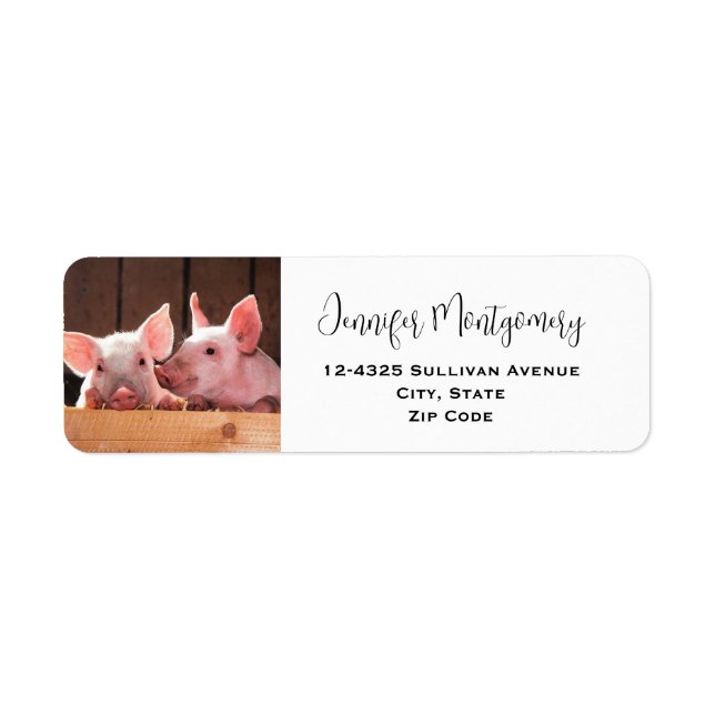 Cute Pink Piglets Animal Photograph Return Address Label (Front)