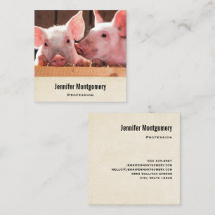 Cute Pink Piglets Animal Photograph Square Business Card