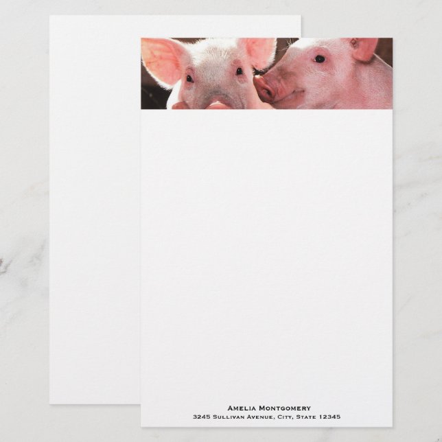 Cute Pink Piglets Animal Photograph Stationery (Front/Back)