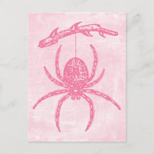 Cute Pink Spider Postcard