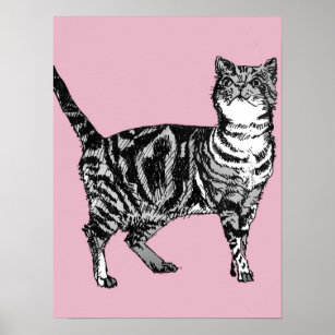 Cute Pink Striped Tabby Cat Cats Poster Art