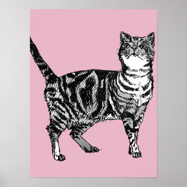 Cute Pink Striped Tabby Cat Cats Poster Art (Front)