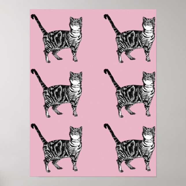 Cute Pink Striped Tabby Cat Cats Poster Art (Front)