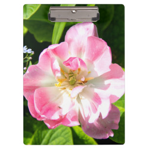 Cute pink tulip clipboard