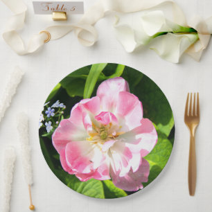 Cute pink tulip paper plate
