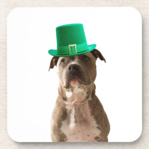 Cute Pit Bull Dog Hat St. Patrick's Day Coaster