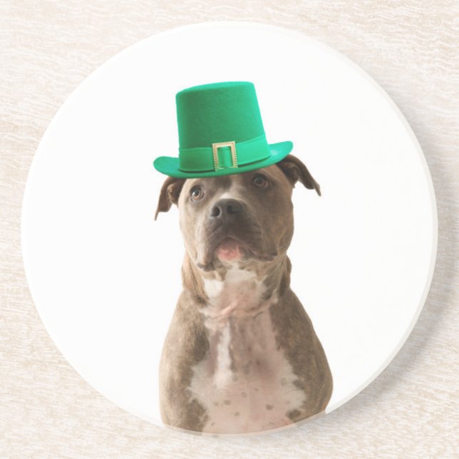 Cute Pit Bull Dog Hat St. Patrick's Day Coaster (Front)
