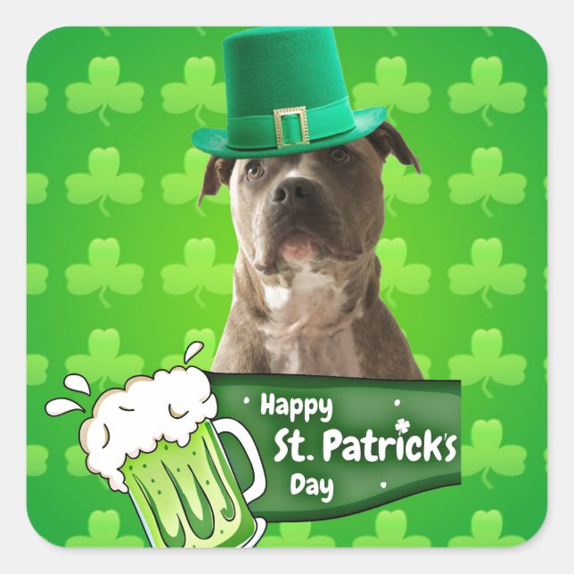 Cute Pit Bull Dog Hat St. Patrick's Day w Clovers Square Sticker (Front)
