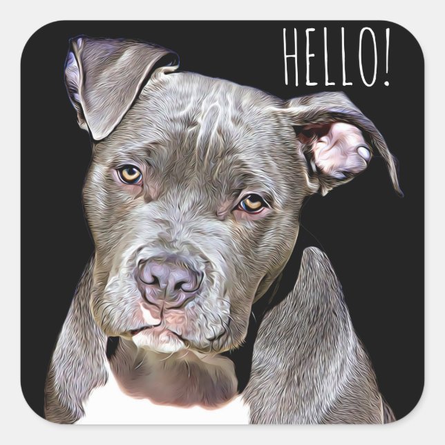 Cute Pit Bull Dog HELLO Stickers (Front)