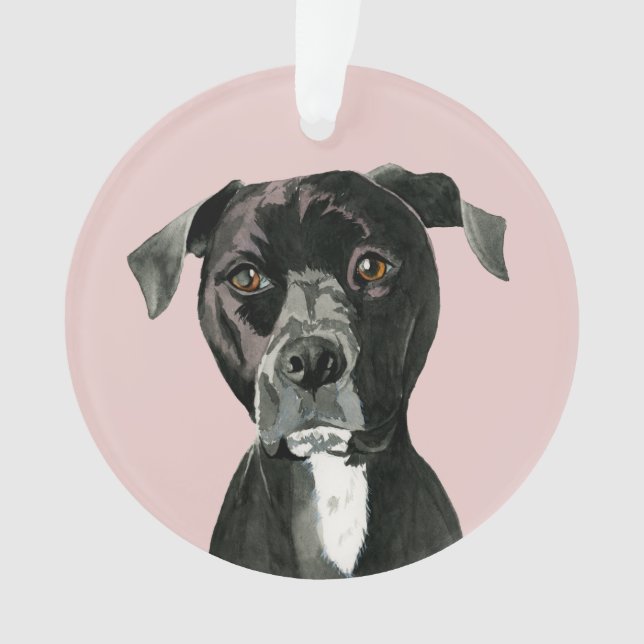 Cute Pit Bull Dog Ornament (Front)