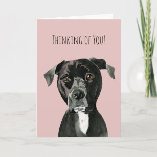 Cute Pit Bull Terrier Dog   Thinking of You Card