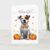 Cute Pit Bull Thankful Fall Pumpkins