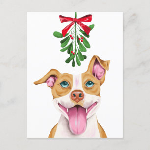 Cute Pitbull Dog and Mistletoe Christmas Holiday Postcard