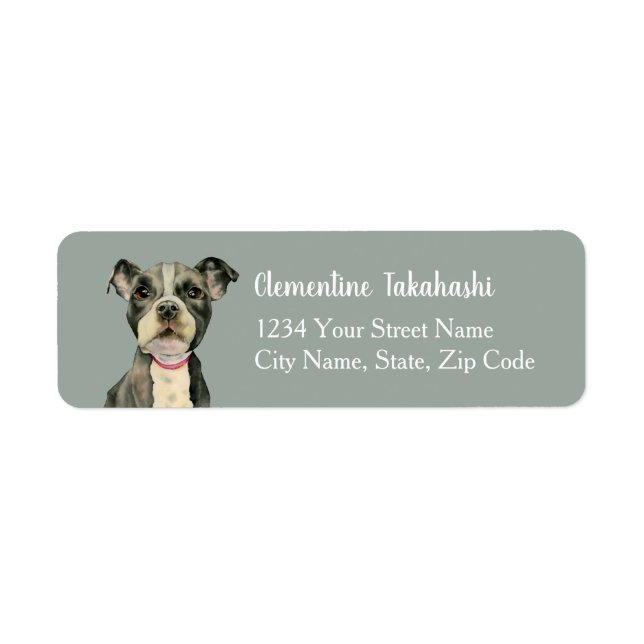 Cute Pitbull Dog Puppy Eyes Return Address Label (Front)