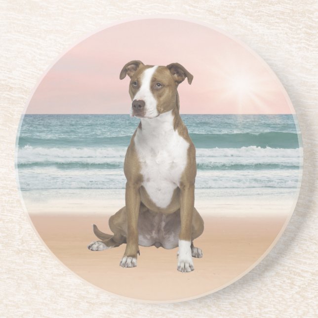 Cute Pitbull Dog Sitting on Beach with sunset Coaster (Front)