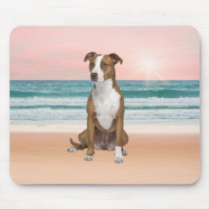 Cute Pitbull Dog Sitting on Beach with sunset Mouse Pad