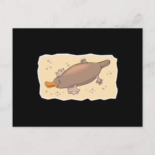 cute platypus in the sand postcard