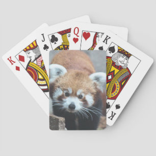 Cute Playing Cards