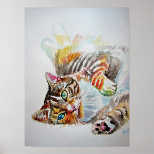 Cute Playing Sleeping Tabby Cat Cats Poster