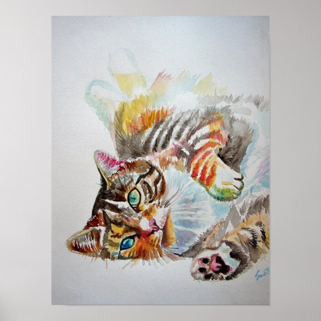 Cute Playing Sleeping Tabby Cat Cats Poster (Front)