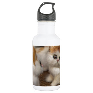 Cute Plushy Kittens 532 Ml Water Bottle