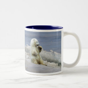 Cute Polar Bear Cub & Arctic Ice Coffee Cup