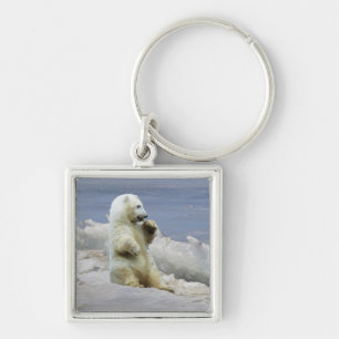 Cute Polar Bear Cub & Arctic Ice Keychain
