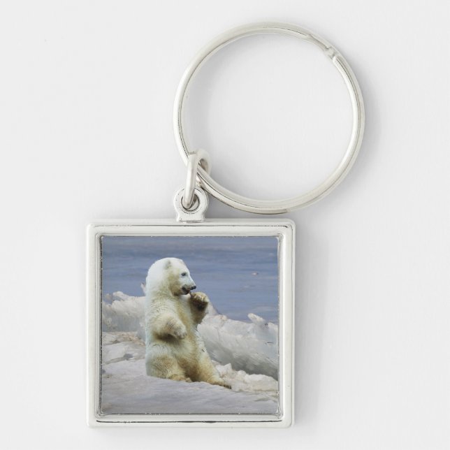 Cute Polar Bear Cub & Arctic Ice Keychain (Front)