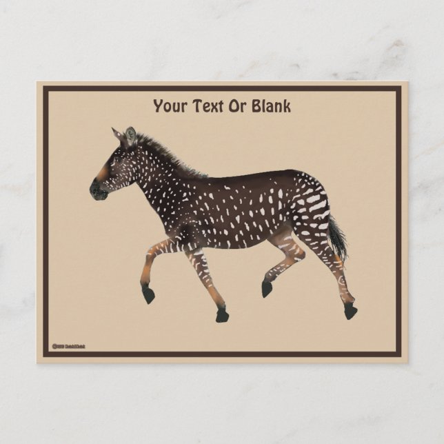 Cute Polka Dot Zebra Postcard (Front)
