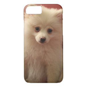 Cute Pomeranian Dog iPhone 8/7 Case