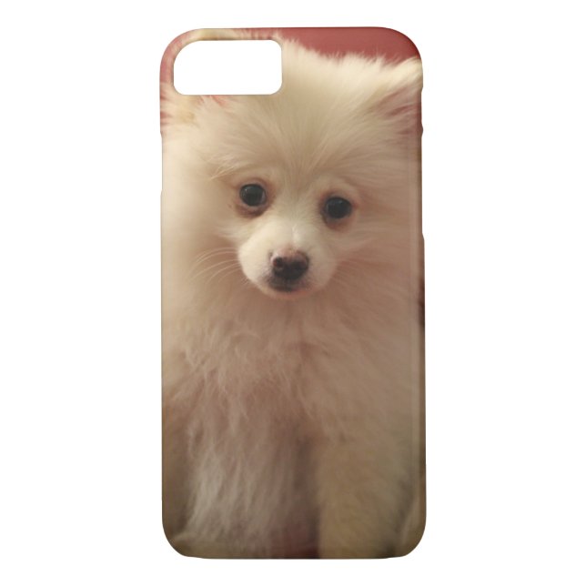 Cute Pomeranian Dog Case-Mate iPhone Case (Back)