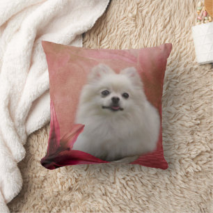 Cute Pomeranian Dog  Cushion