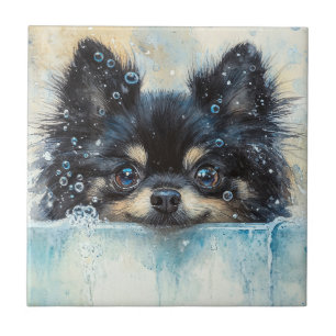 Cute Pomeranian Dog in the Bathtub Ceramic Tile