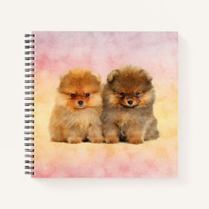 Cute Pomeranian German Spitz Puppies Notebook