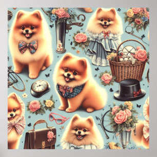 Cute Pomeranian Illustration Poster