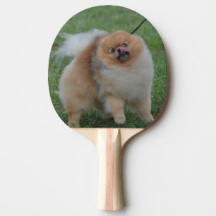 Cute Pomeranian Ping Pong Paddle