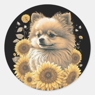 Cute Pomeranian Sunflower Lover Drawing Art  Classic Round Sticker