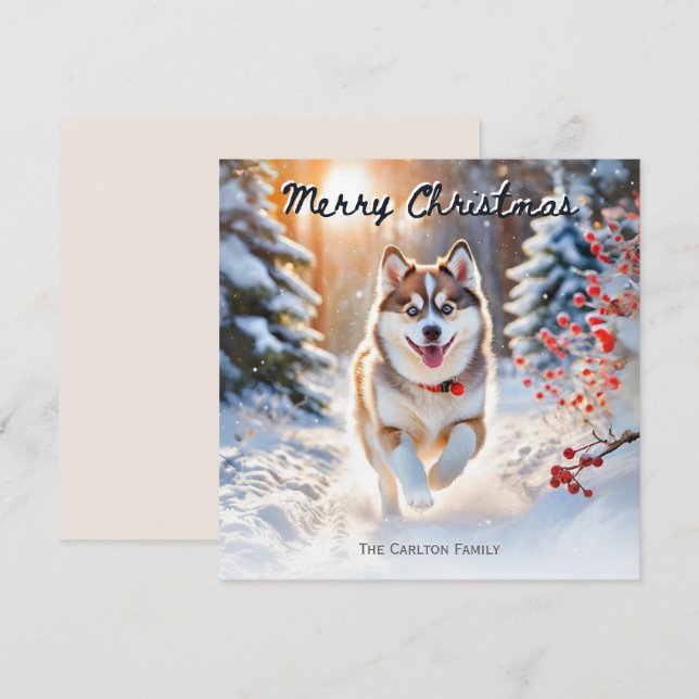 Cute Pomsky Dog In Snow Winter Merry Christmas Holiday Card (Front/Back)