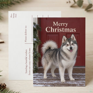 Cute Pomsky Puppy Dog Lover Merry Christmas Holiday Postcard