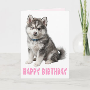 Cute Pomsky Puppy Dog Lover Pink Birthday Card