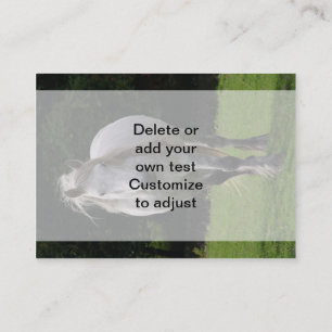 Cute pony photograph business card