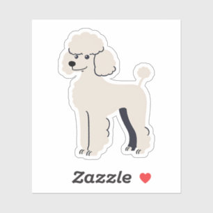 Cute Poodle