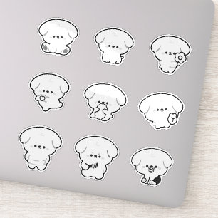 Cute Poodle