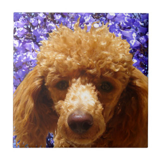 Cute Poodle Ceramic Tile