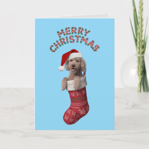 Cute Poodle Christmas Holiday Card