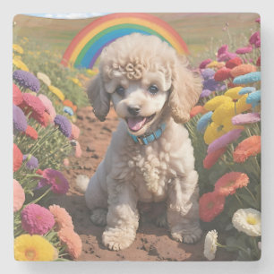Cute Poodle Colourful flower and rainbow Stone Coaster