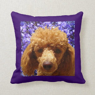 Cute Poodle Cushion